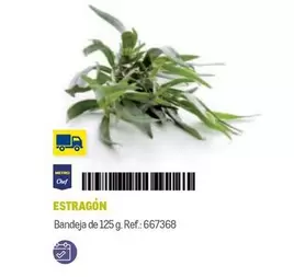 Oferta de Chef select - Estrragon en Makro