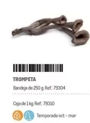 Oferta de Trompeta en Makro