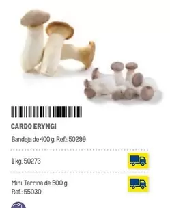 Oferta de Cardo Eryngi en Makro