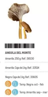 Oferta de Del Monte - Angula en Makro