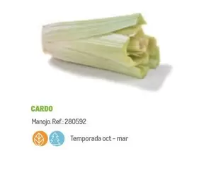 Oferta de Cardo en Makro