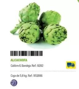 Oferta de Alcachofa en Makro