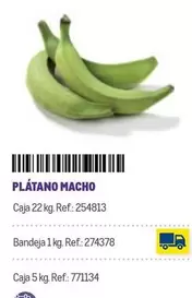 Oferta de Platano Macho en Makro