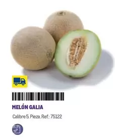 Oferta de Melón Galia en Makro