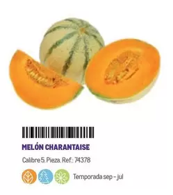 Oferta de Melon Charantaise en Makro