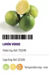 Oferta de Limón Verde en Makro