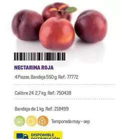 Oferta de Nectarina Roja en Makro