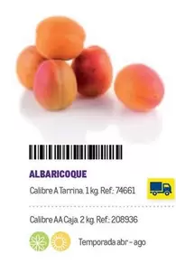 Oferta de Albaricoque en Makro