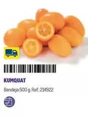 Oferta de Kumquat en Makro