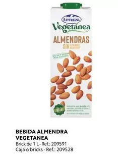 Oferta de La Asturiana - Bebida Almendra Vegetanea en Makro