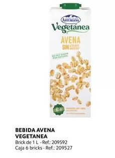 Oferta de La Asturiana - Bebida Avena Vegetanea en Makro