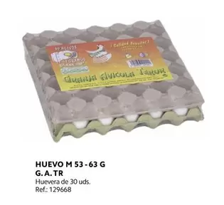 Oferta de G.a.tr - Huevo M 53-63 en Makro