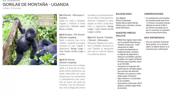 Oferta de Gorillas De Montaña-Urganda en Tui Travel PLC