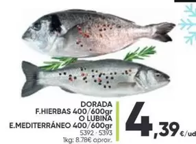 Oferta de Dorada - Dorada por 4,39€ en Family Cash