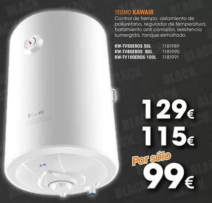 Oferta de Control - Termo por 99€ en Master Cadena