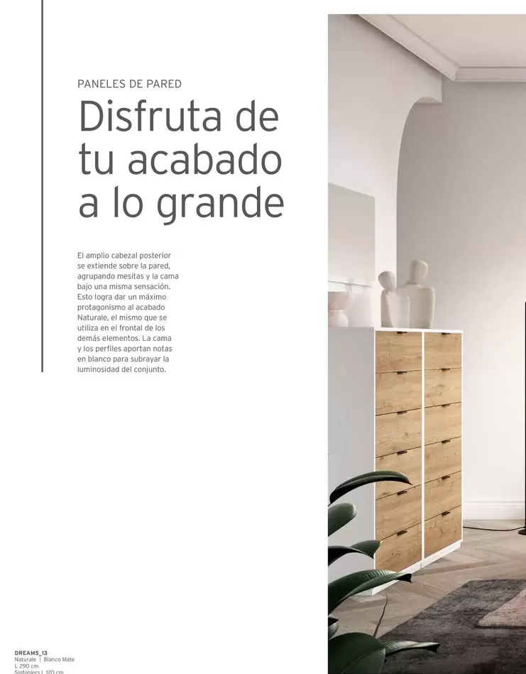 Oferta de Dreams_13 en Kibuc