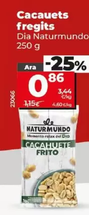 Oferta de Dia Naturmundo - Cacahuetes Fritos por 0,86€ en Dia