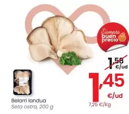 Oferta de Seta Ostra por 1,45€ en Eroski