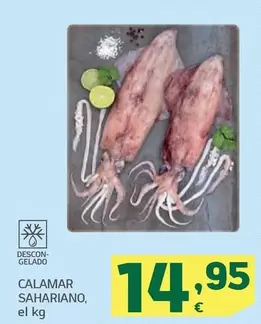 Oferta de Calamar Sahariano por 14,95€ en HiperDino