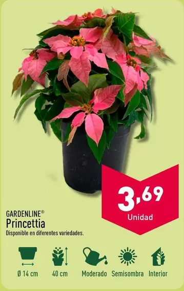 Oferta de Gardenline - Princettia por 3,69€ en ALDI