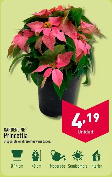 Oferta de Princettia por 4,19€ en ALDI