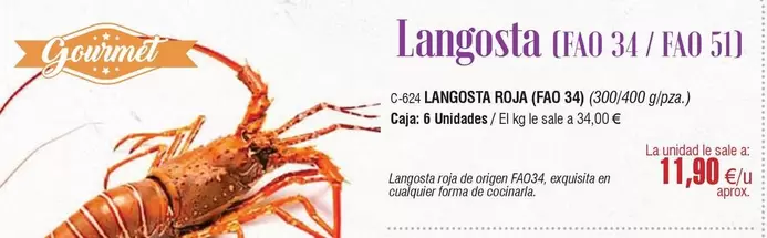 Oferta de Gourmet - Langosta por 11,9€ en Abordo