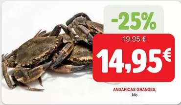 Oferta de Andaricas Grandes por 14,95€ en Masymas