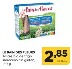 Oferta de Bio - Tostas Bio De Trigo Sarraceno Sin Gluten por 2,85€ en Alimerka