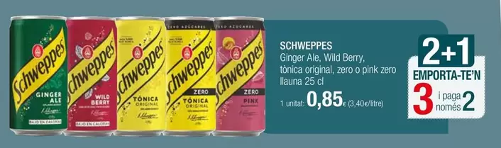 Oferta de Schweppes - Sobres De Whisky Barres Congelées por 0,85€ en Condis