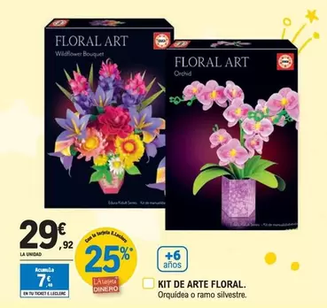 Oferta de Kit De Arte Floral por 29,92€ en E.Leclerc