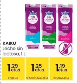 Oferta de Kaiku - Leche Sin Lactosa por 1,19€ en Eroski