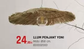 Oferta de Llum Penjant Yoni por 24,95€ en Fes Més