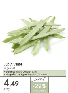 Oferta de Judia Verde por 4,49€ en Supermercados Plaza