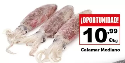 Oferta de Calamar Mediano por 10,99€ en Masymas