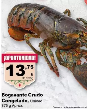 Oferta de Bogavante Crudo Congelado por 13,75€ en Masymas