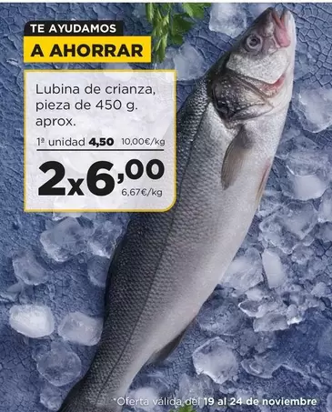 Oferta de Lubina De Crianza por 4,5€ en Alimerka