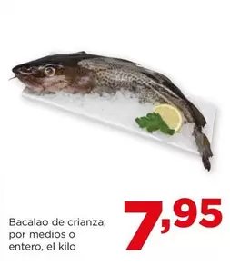 Oferta de Bacalao De Crianza por 7,95€ en Alimerka