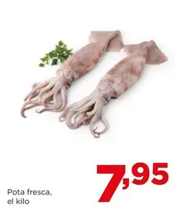 Oferta de Pota Fresca por 7,95€ en Alimerka