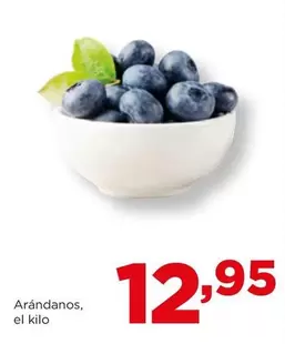 Oferta de Arándanos por 12,95€ en Alimerka