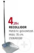 Oferta de Recollidor por 4,25€ en Fes Més