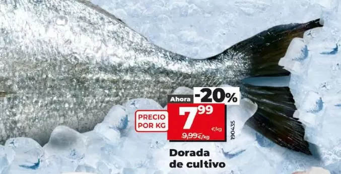 Oferta de Dorada De Cultivo por 7,99€ en Dia