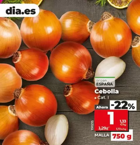 Oferta de Cebolla por 1€ en Dia