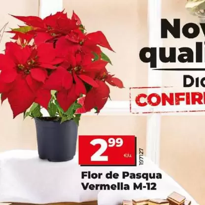 Oferta de Flor De Pascua Roja M-12 por 2,99€ en Dia