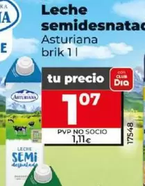 Oferta de Asturiana - Leche Semidesnatada por 1,07€ en Dia