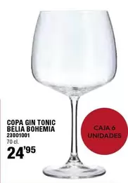 Oferta de Copa Gin Tonic Belia Bohemia por 24,95€ en Ferrcash