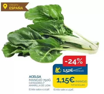 Oferta de Origen - Acelga por 1,15€ en Supermercados La Despensa