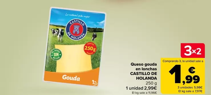 Oferta de Castillo De Holanda - Queso Gouda En Lonchas  por 2,99€ en Carrefour