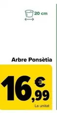 Oferta de Árbol Poinsettia por 16,99€ en Carrefour