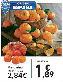 Oferta de Mandarina por 2,84€ en Carrefour Express