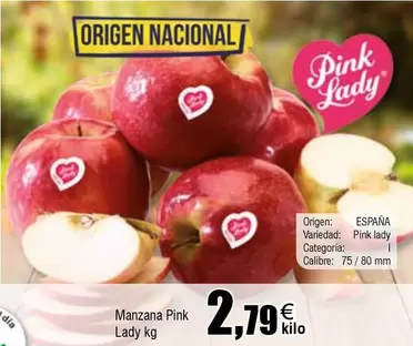 Oferta de Origen - Manzana por 2,79€ en Froiz